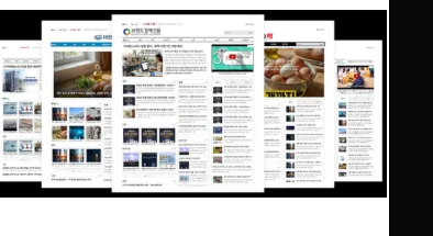 언론 보도